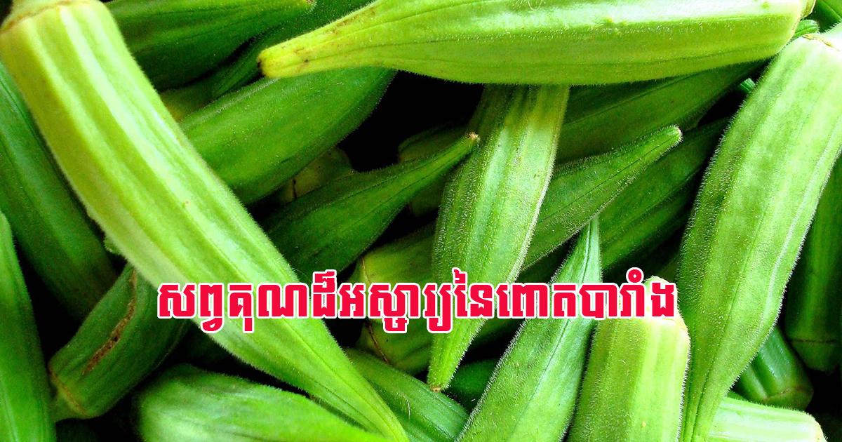 សព្វគុណនិងអត្ថប្រយោជន៍នៃពោតបារាំង ឬ Okra