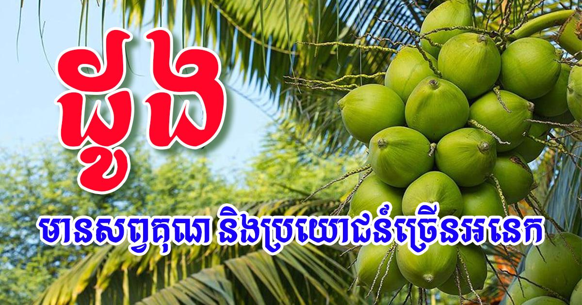 អត្ថប្រយោជន៍នៃដូងចំពោះសុខភាព