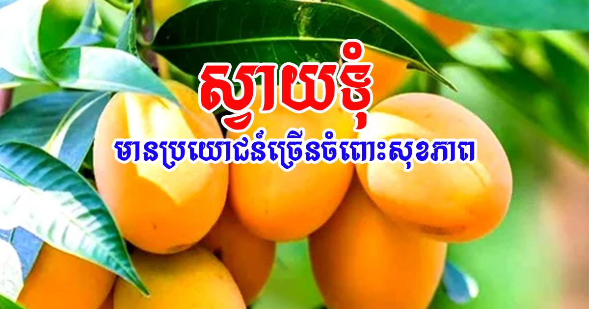 អត្ថប្រយោជន៍នៃស្វាយទុំ
