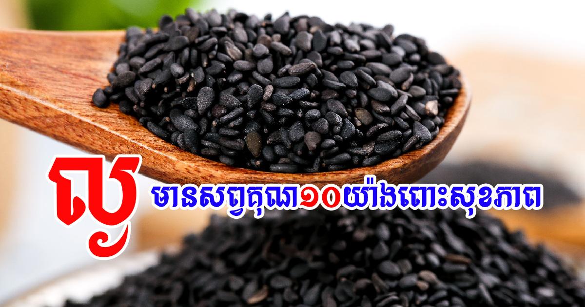 អត្ថប្រយោជន៍ទាំង១០នៃគ្រាប់ល្ង