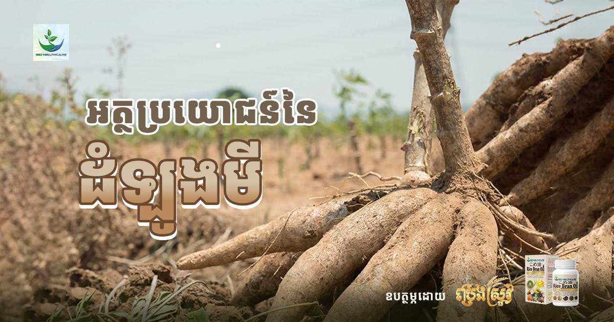 អត្ថប្រយោជន៍នៃដំឡូងមី