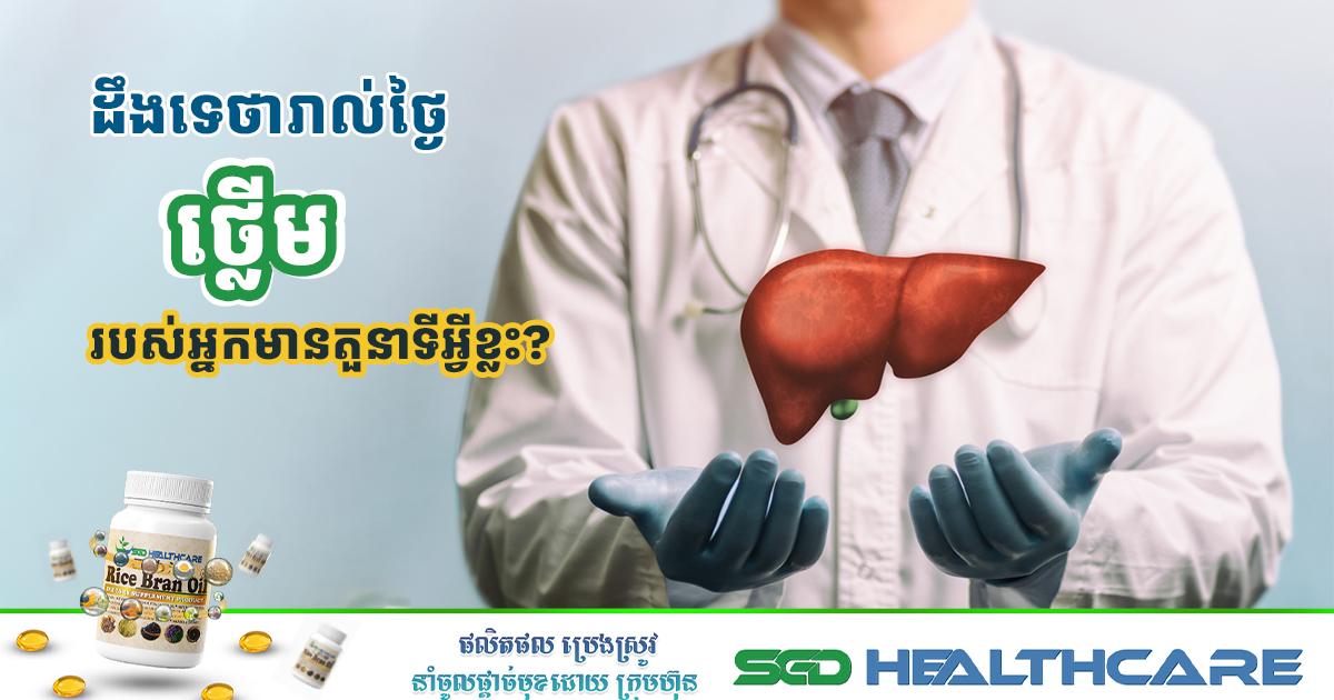 ដឹងទេថារាល់ថ្ងៃថ្លើមរបស់អ្នកមានតួនាទីអ្វីខ្លះ?